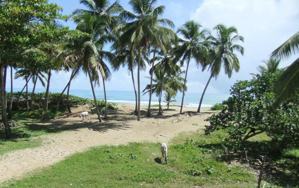 Brisas Doradas Cabarete Exterior foto